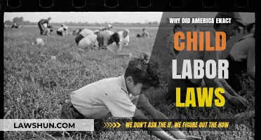 Protecting Childhood: The Urgent Need for America's Child Labor Laws