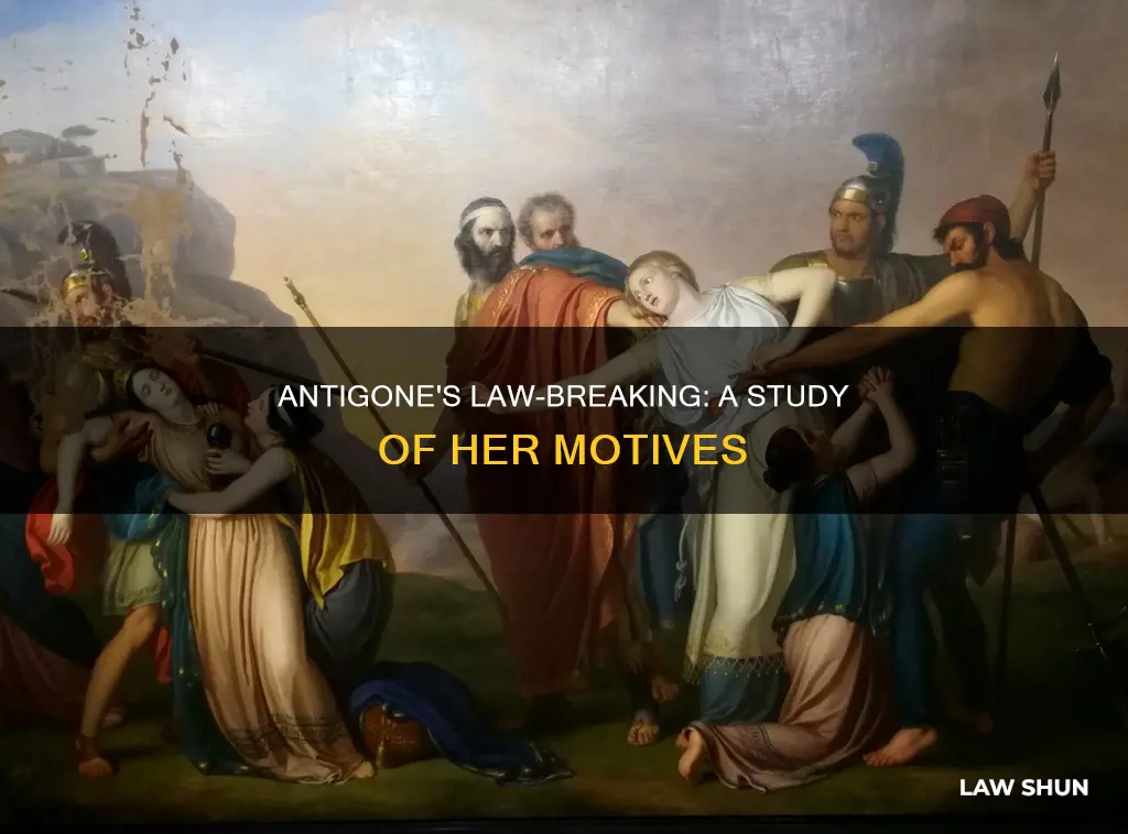 why did antigone break the law