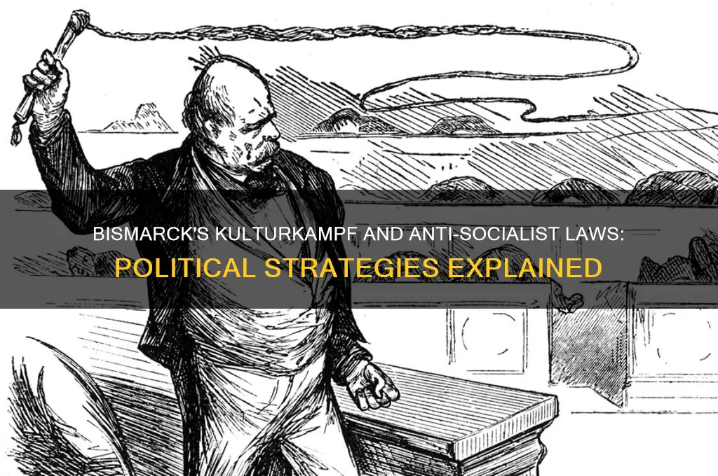 why did bismarck initiate the kulturkampf and the anti-socialist laws