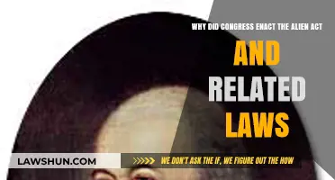 Understanding Congress's Enactment of the Alien Act and Related Laws