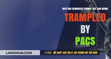 How Congress Allowed PACs to Undermine the Law: Explained