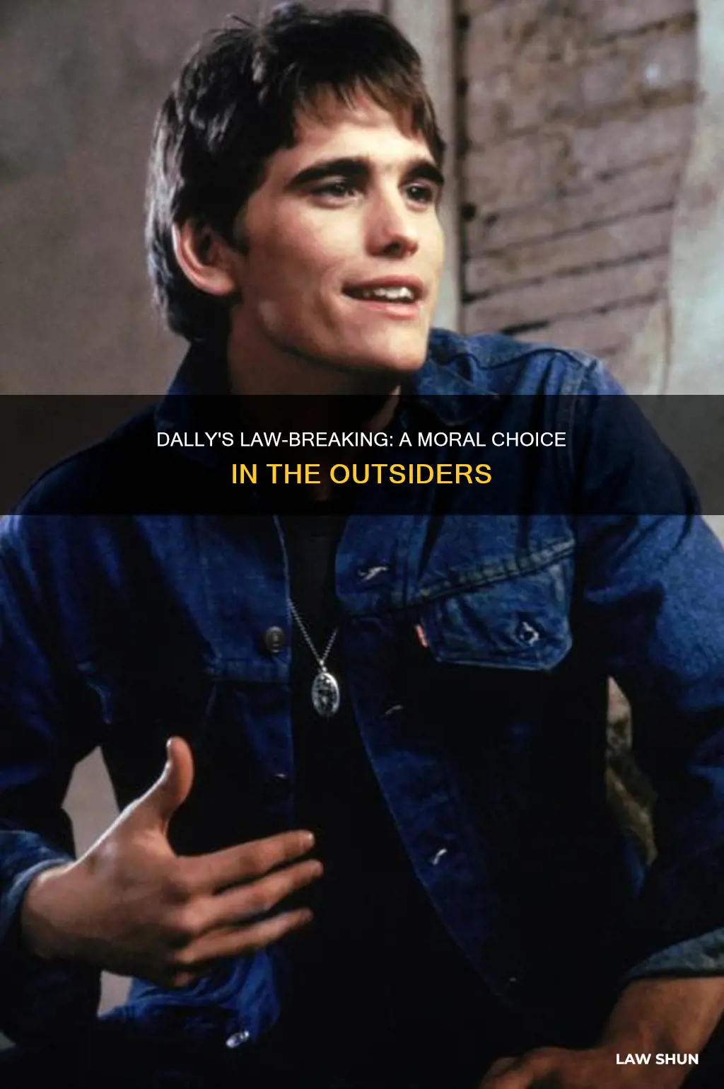 why did dally break laws in the outsiders