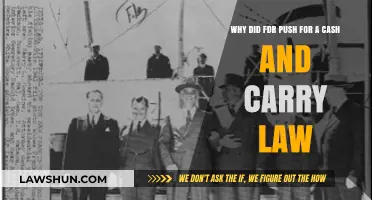FDR's Cash and Carry Law: A Strategic Move to Aid Allies