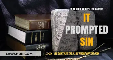 Why God's Law Unveiled Sin: Exploring Divine Purpose and Human Nature