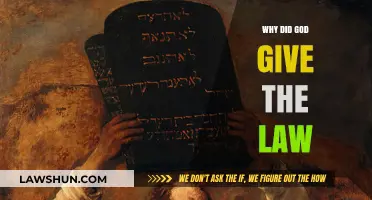 Divine Guidance: Understanding the Purpose Behind God's Law