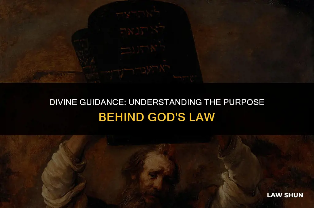 why did god give the law