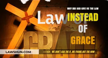 Why Law Before Grace? Understanding God's Purpose in Scripture