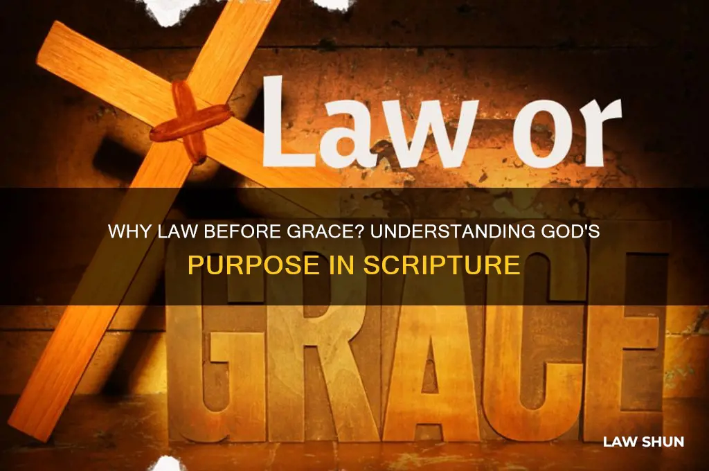 why did god give us the law instead of grace