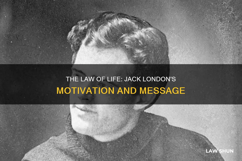 why did jack london write the law of life