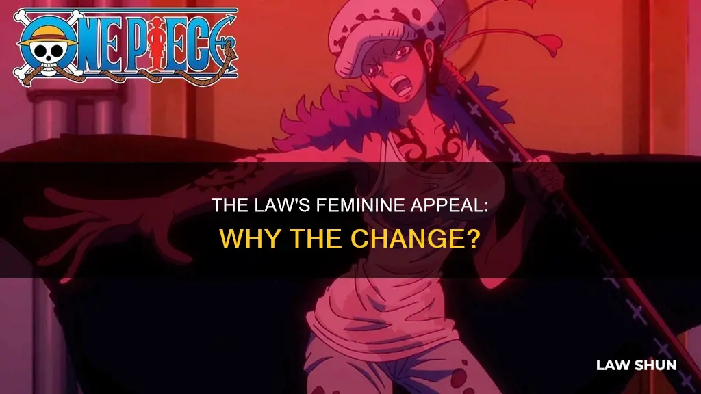 why did law become a girl