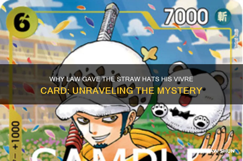 why did law give the straw hats hid vivre csrd