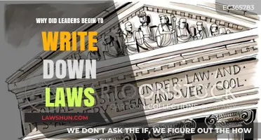 Why Leaders Codified Laws: Preserving Order and Ensuring Justice