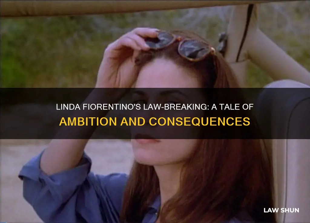 why did linda fiorentino break the law