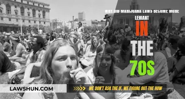 Marijuana Laws: 1970s Leniency and Changing Societal Norms