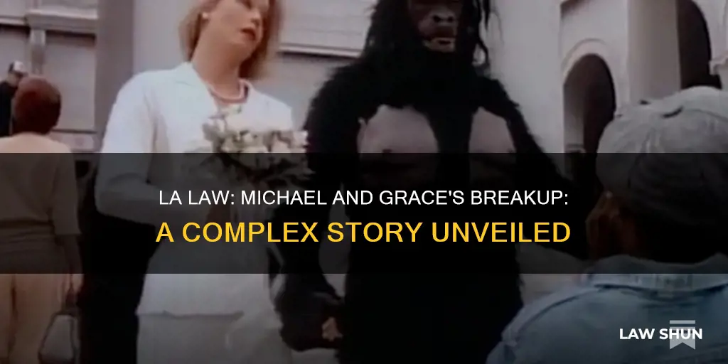 why did michael and grace break up on la law