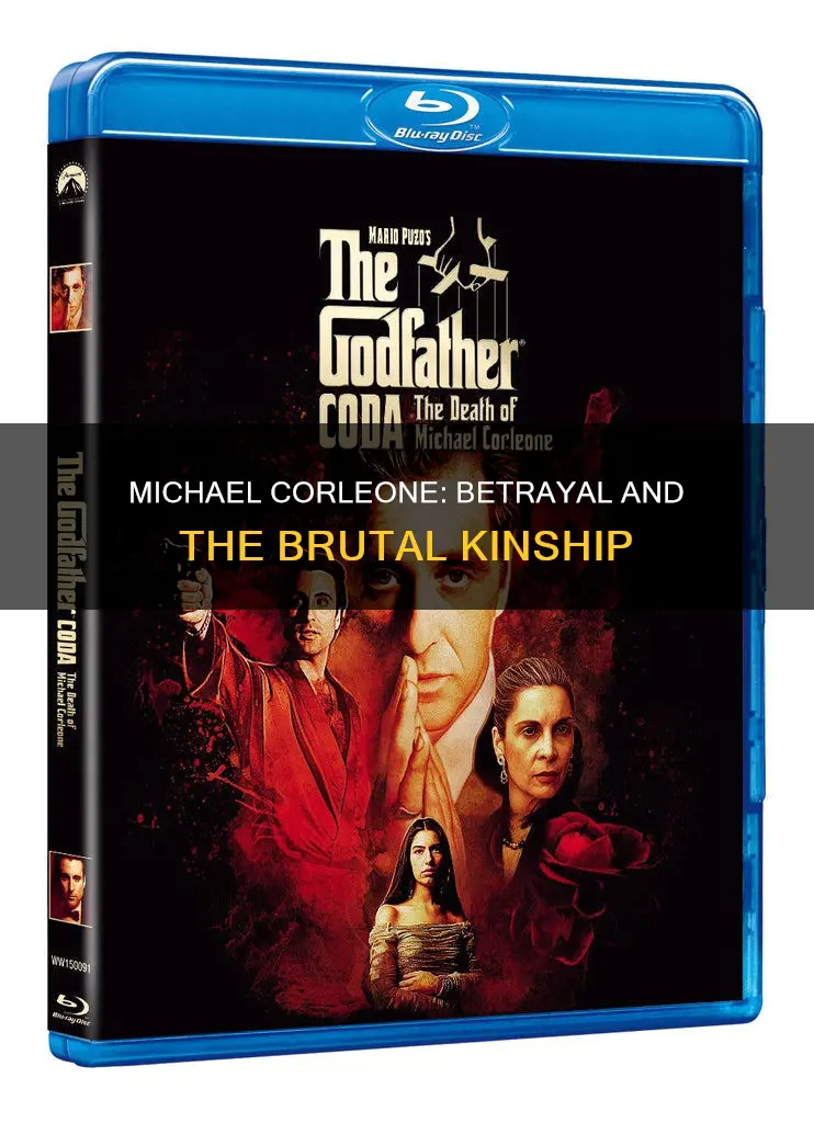 why did michael corleone kill his brother in law