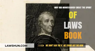 Montesquieu's "Spirit of Laws": Understanding His Vision