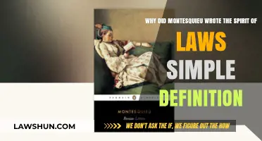 Why Montesquieu Wrote 'The Spirit of Laws': A Simple Definition