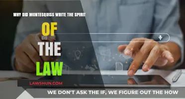 Montesquieu's Motivation: Unveiling the Purpose Behind 'The Spirit of the Law