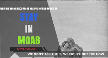 Naomi's Heartfelt Advice: Why She Urged Daughters-in-Law to Remain in Moab