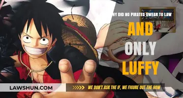 Why Only Luffy Defied Pirate Law: A Unique Oath Explored