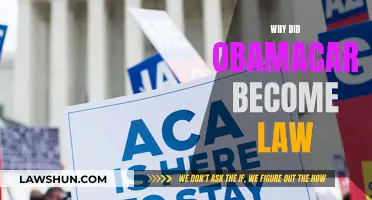 Obamacare: How Did It Become Law?