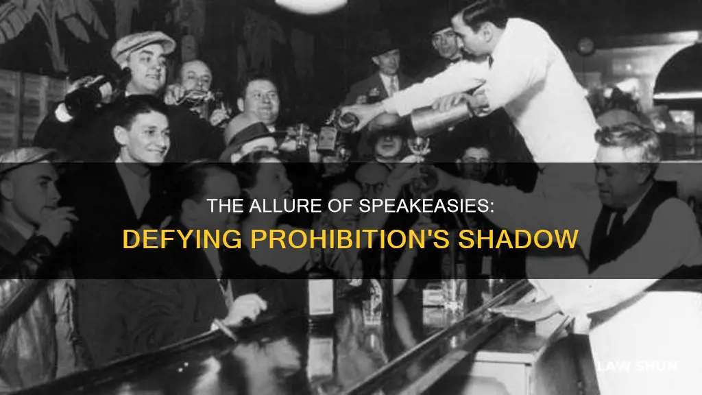 why did people break the law and go to speakeasies