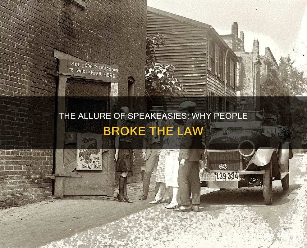 why did people break the law and go to speakeasies