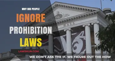 Why Prohibition Failed: Understanding Public Defiance of the Law