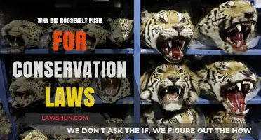 Roosevelt's Legacy: Championing Conservation Laws for a Sustainable Future