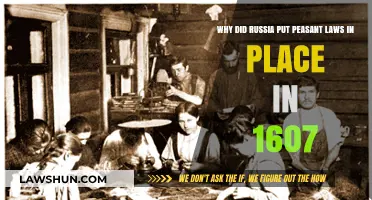 Russia's 1607 Peasant Laws: Origins and Impact on Society