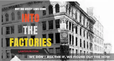 The Rise of Factory Safety Laws: Protecting Workers from Industrial Hazards
