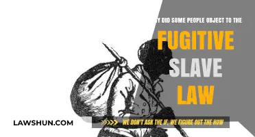 Resistance to the Fugitive Slave Law: Unraveling the Moral Outcry