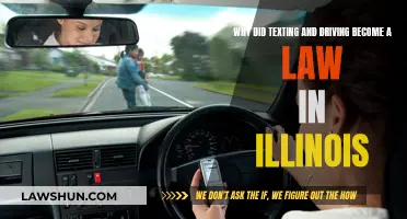 Texting and Driving: Illinois' Strict New Law Explained