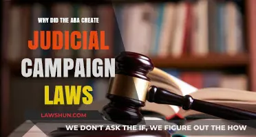 ABA's Judicial Campaign Laws: Why They Matter