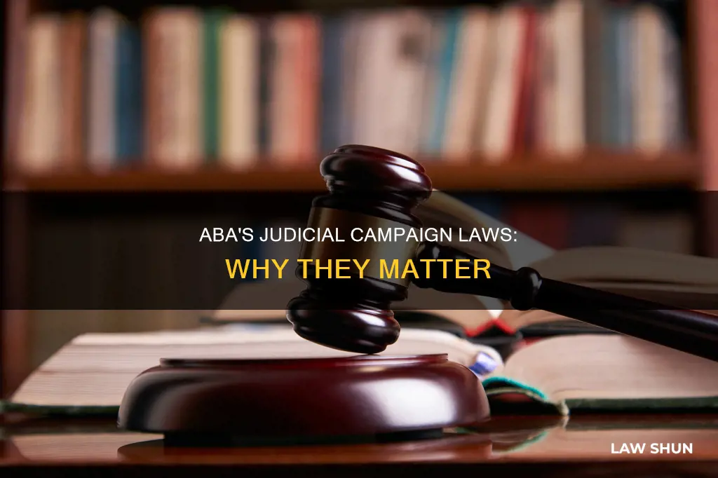 why did the aba create judicial campaign laws