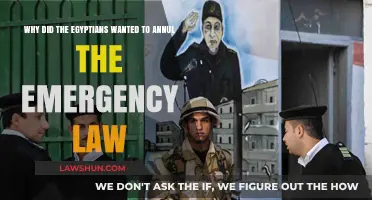 Egypt's Push to End Emergency Law: Reasons and Implications