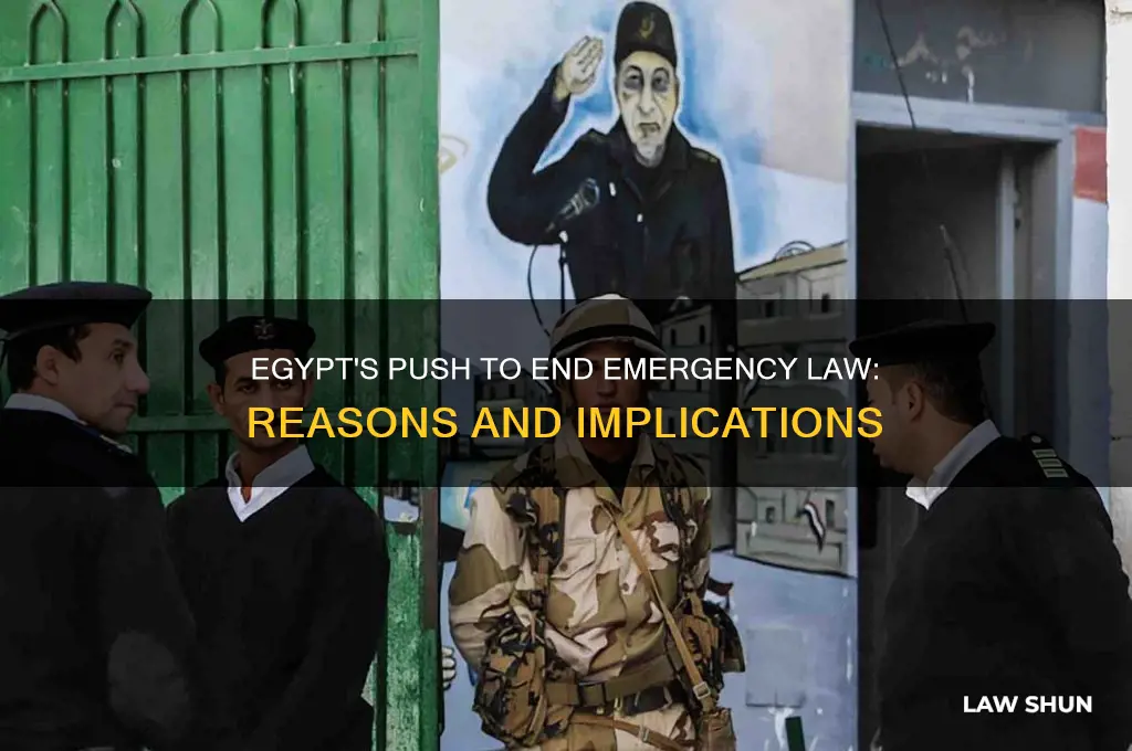 why did the egyptians wanted to annul the emergency law