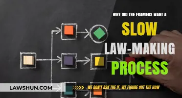 Why the Framers Favored a Deliberate Law-Making Process