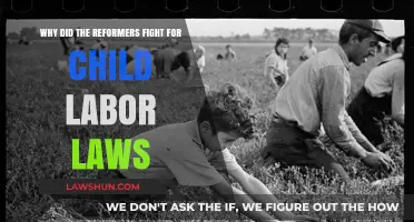 Reformers' Battle: The Fight for Child Labor Laws Explained