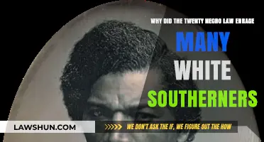 Twenty Negro Law: White Southern Fury Explained