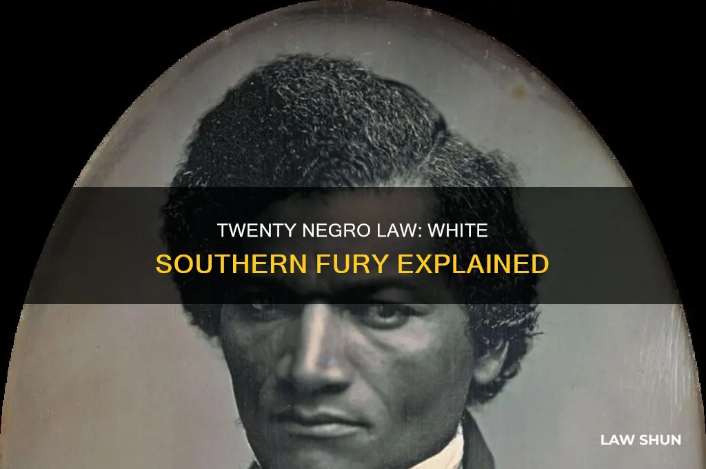 why did the twenty negro law enrage many white southerners
