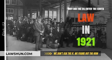 The 1921 Quota Law: Why the US Restricted Immigration