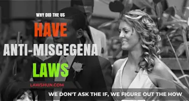 Unraveling America's Anti-Miscegenation Laws: A History of Racial Control