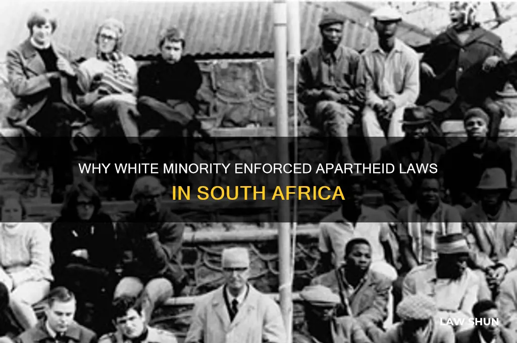 why did the white minority establish apartheid laws in africa