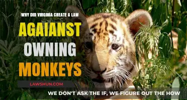 Virginia's Law: Monkeys and Their Owners