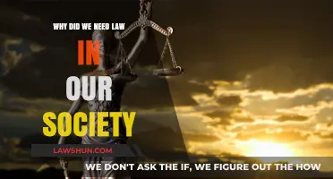 The Essential Role of Law in Shaping a Just Society