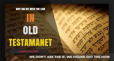 Understanding the Purpose of Old Testament Laws: A Divine Framework