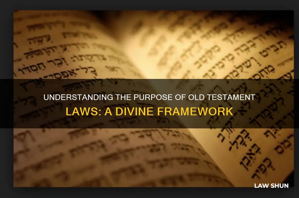 why did we need the law in old testamanet