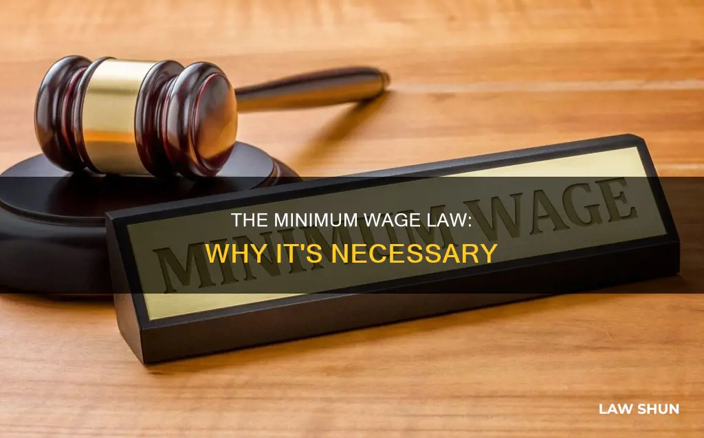 why didinim wage become law